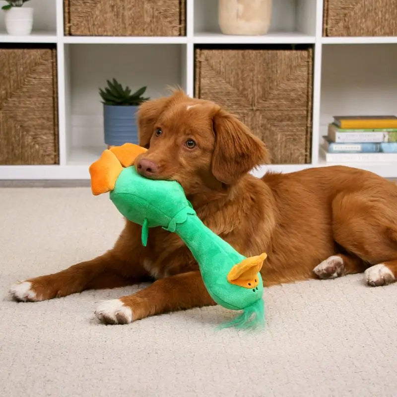Breed Long Neck Duck Dog Toy Plush Squeaky Chew Toy