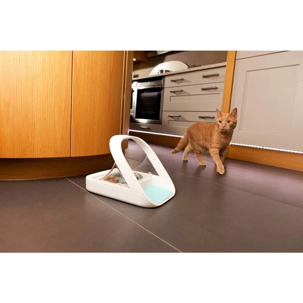 Hign Concerned Microchip Automatic Pet Feeder For Wet Food