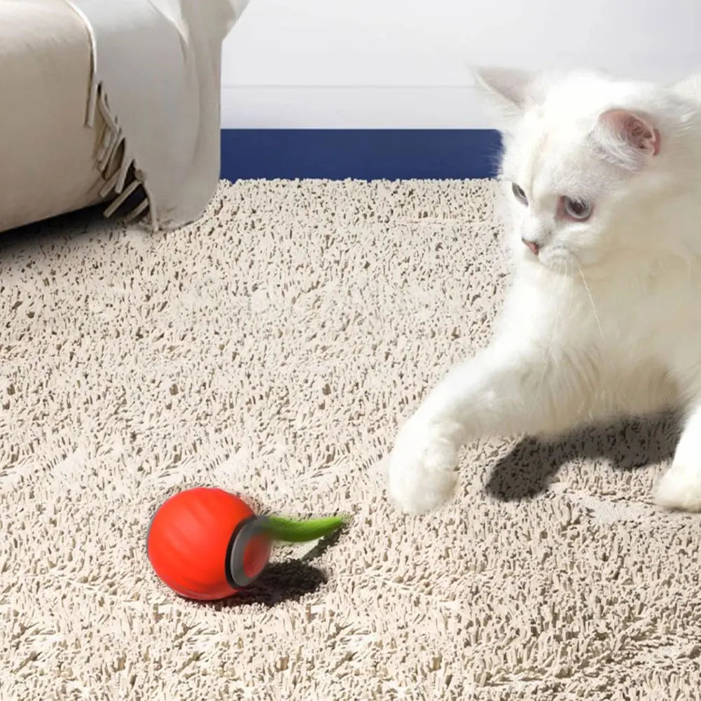 Automatic Moving Cat Toy Ball With USB Rechargeable Smart Features
