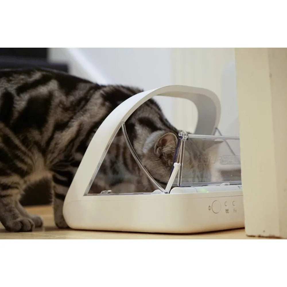 Hign Concerned Microchip Automatic Pet Feeder For Wet Food