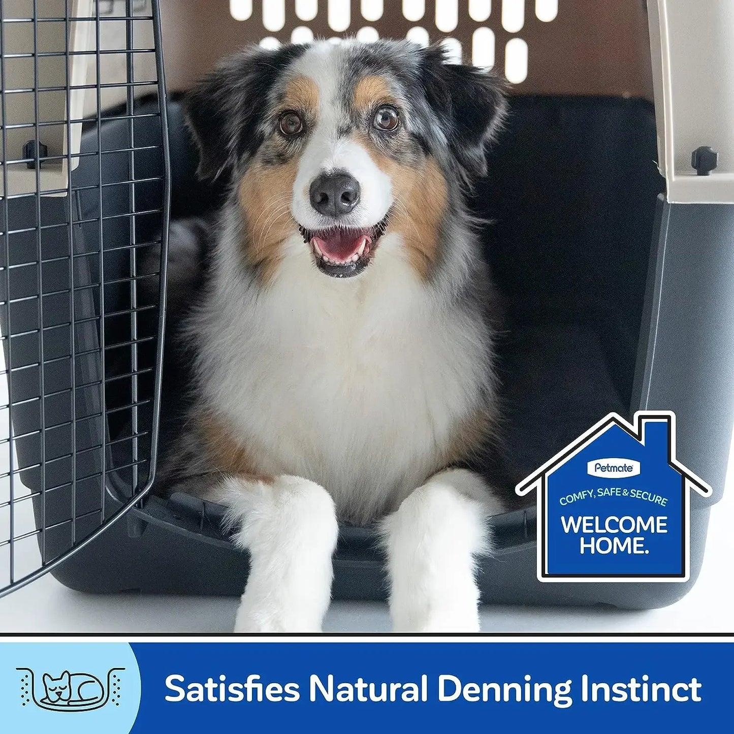 IATA Compliant Dog Crate for Safe Air Travel with Pets