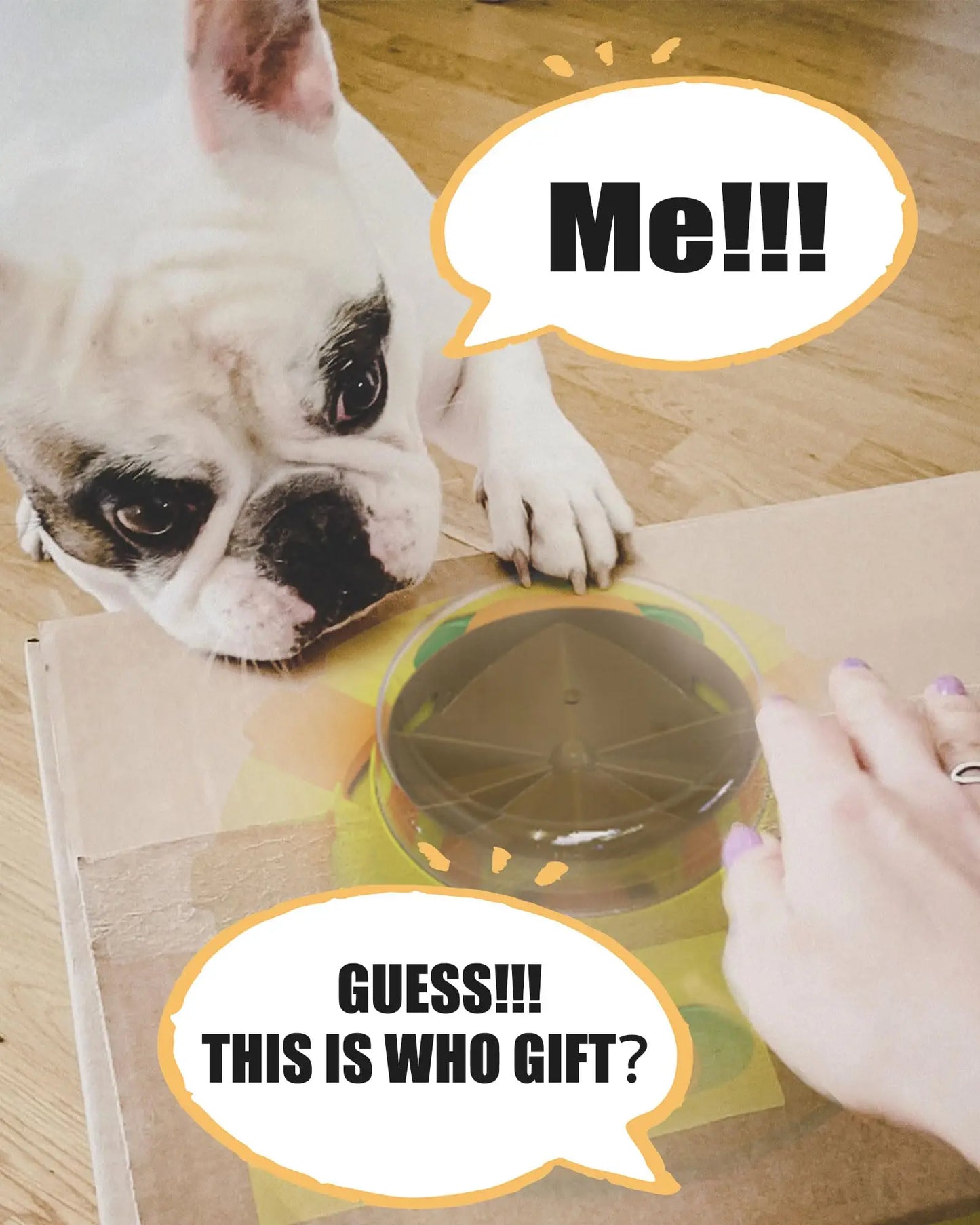 Hign-concerned Interactive Puzzle Toy For Dogs Dispenser