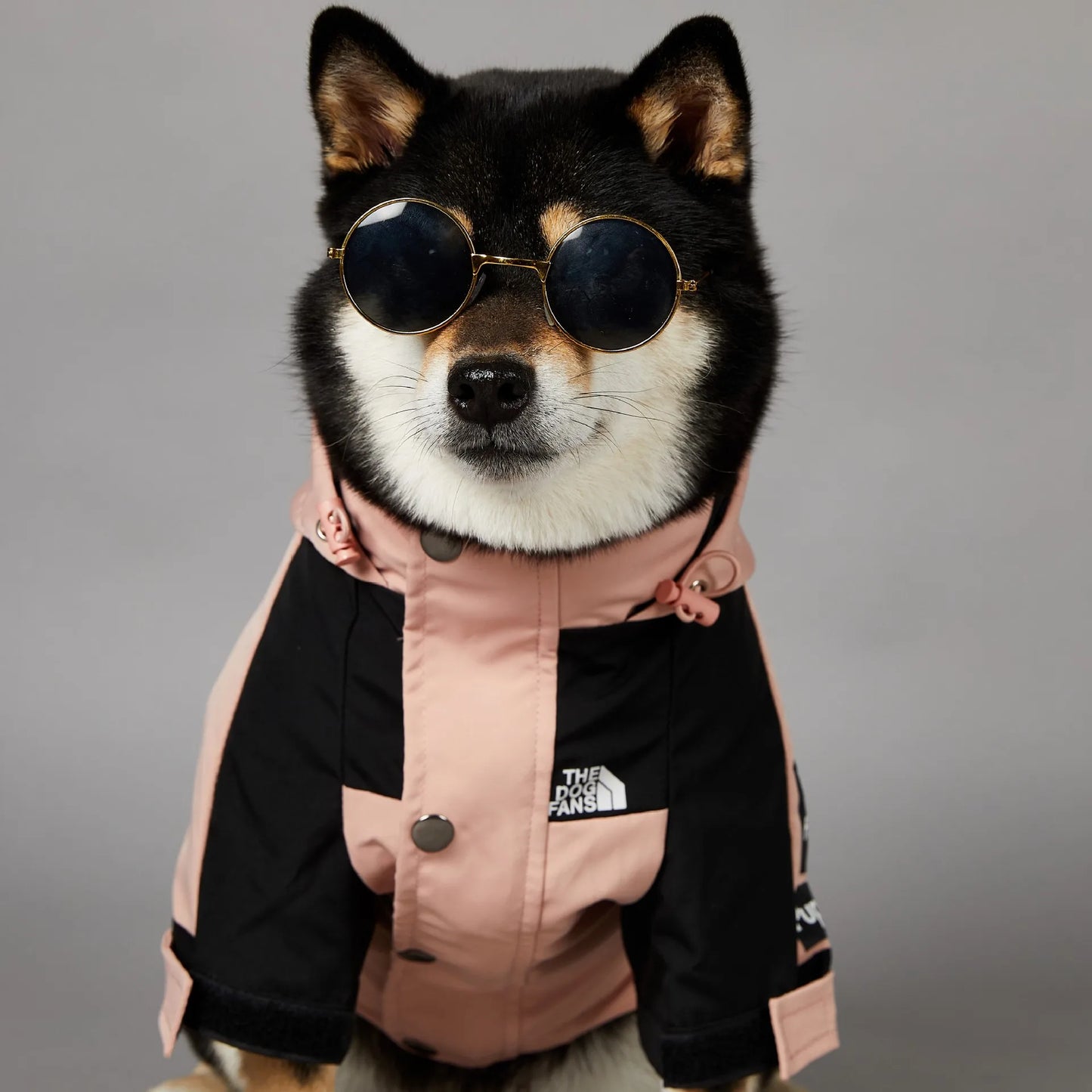 Dog Raincoat Windbreaker Jacket for All Breeds