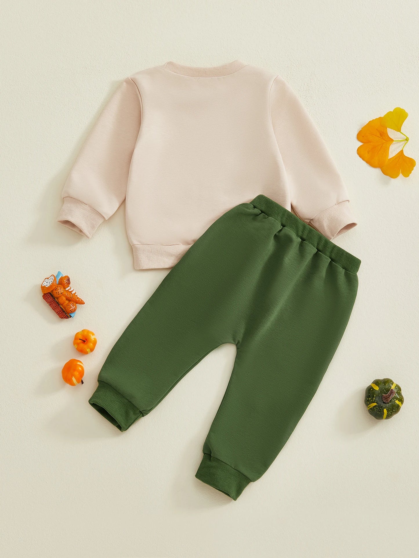 Emmababy Boys Dinosaur Embroidery 2-Piece Fall Outfit Set