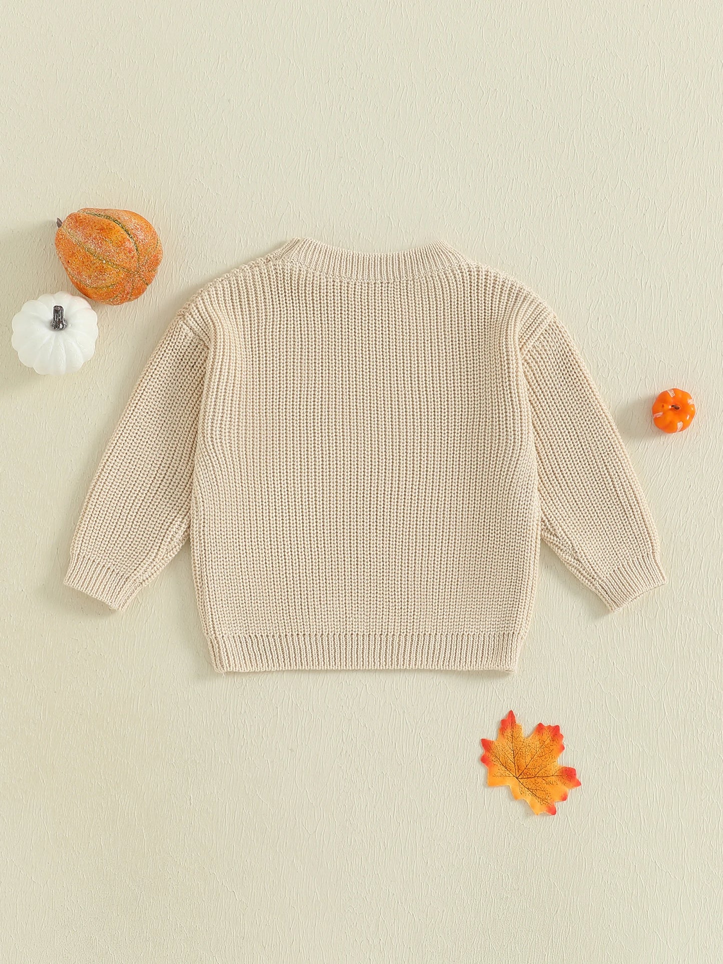 Emmababy Pumpkin Patch Knit Sweater Cozy Baby Boy Girl