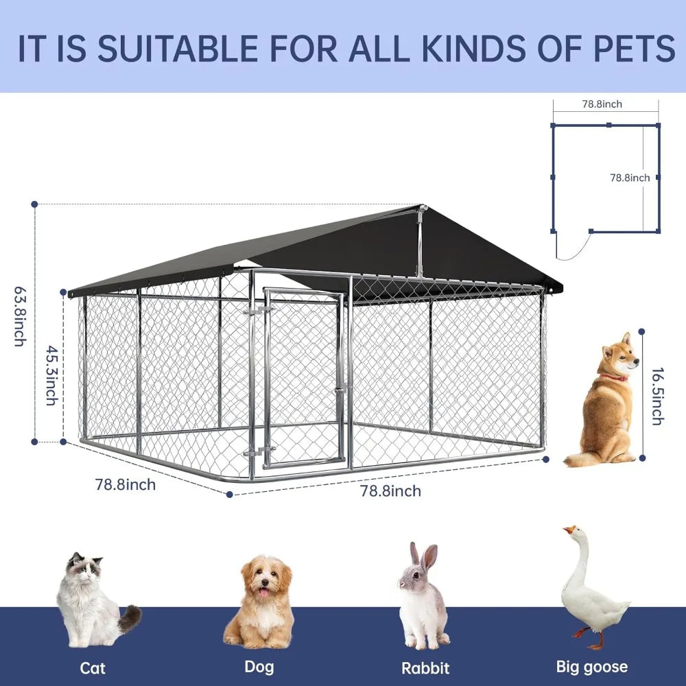 Heavy Duty Outdoor Dog Kennel with Secure Locking System