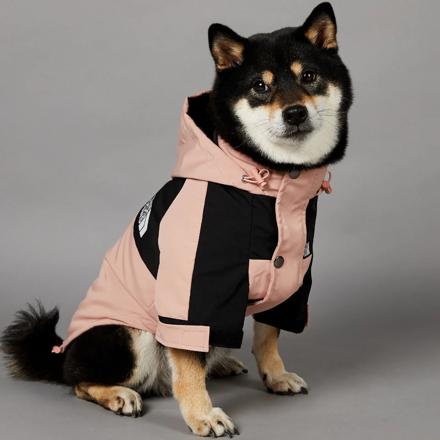 Dog Raincoat Windbreaker Jacket for All Breeds