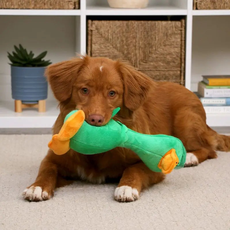 Breed Long Neck Duck Dog Toy Plush Squeaky Chew Toy