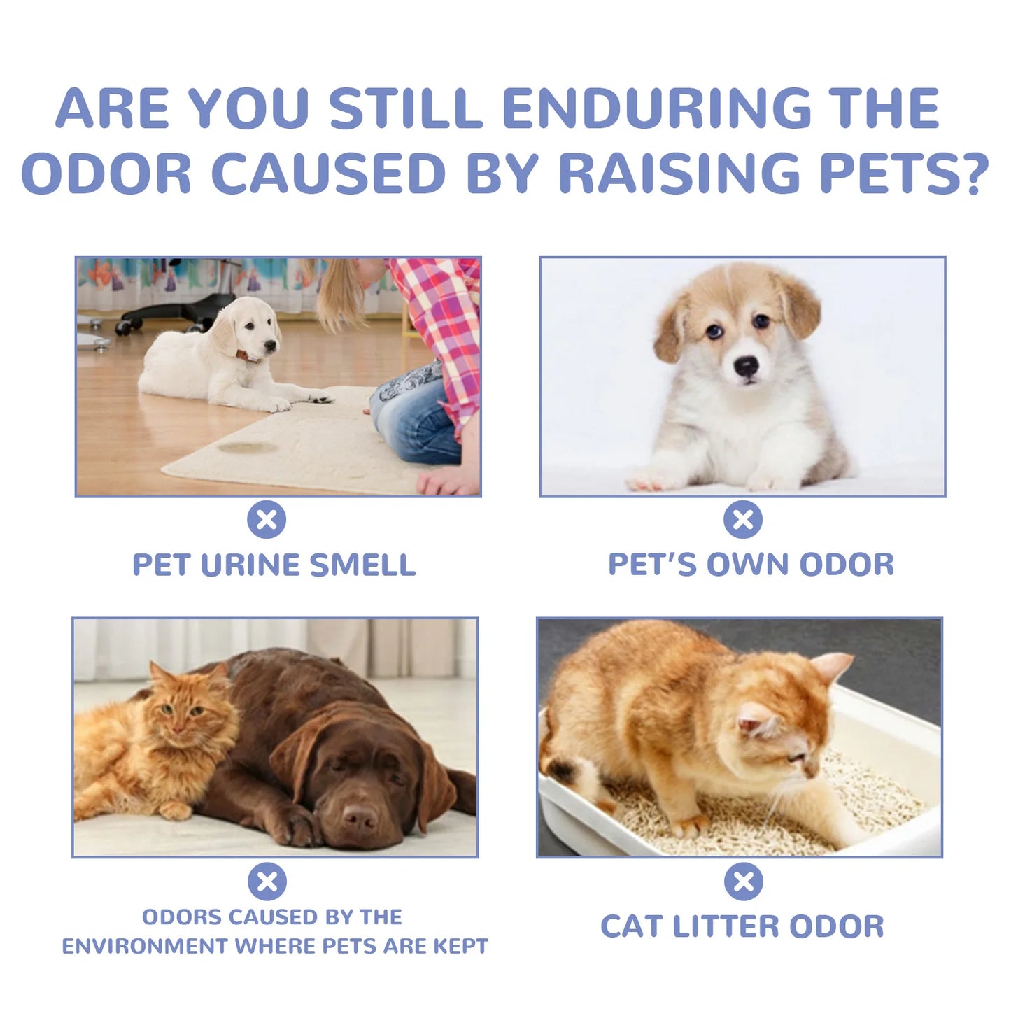 YEGBONG Pet Deodorant Gel and Potty Inducer for Dogs