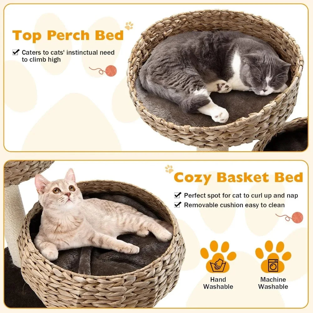 Modern Cat Tree with Natural Sisal Scratching Post and Condo
