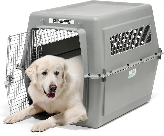 IATA Compliant Dog Crate for Safe Air Travel with Pets