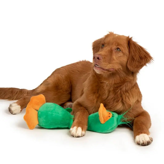 Breed Long Neck Duck Dog Toy Plush Squeaky Chew Toy