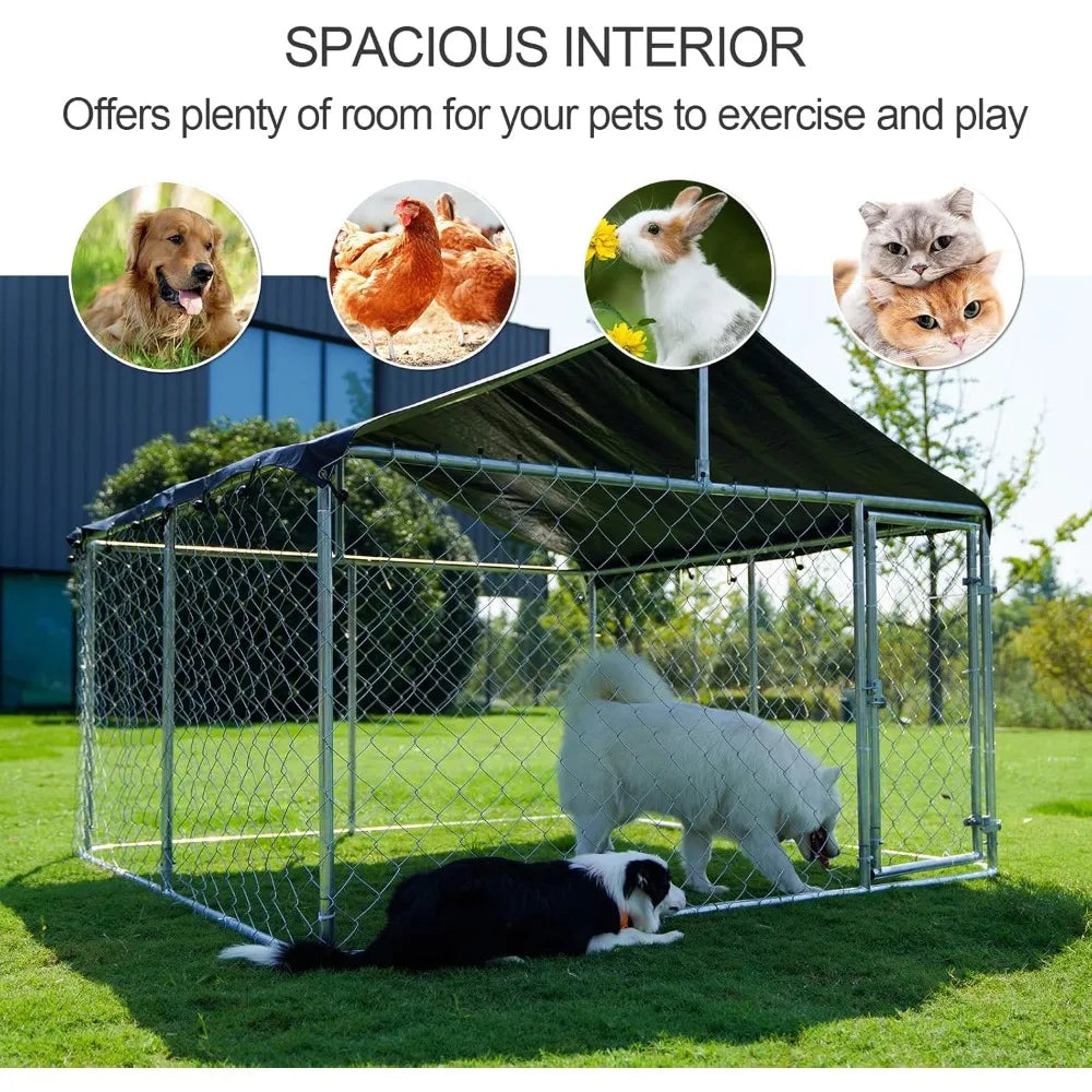 Heavy Duty Outdoor Dog Kennel with Secure Locking System