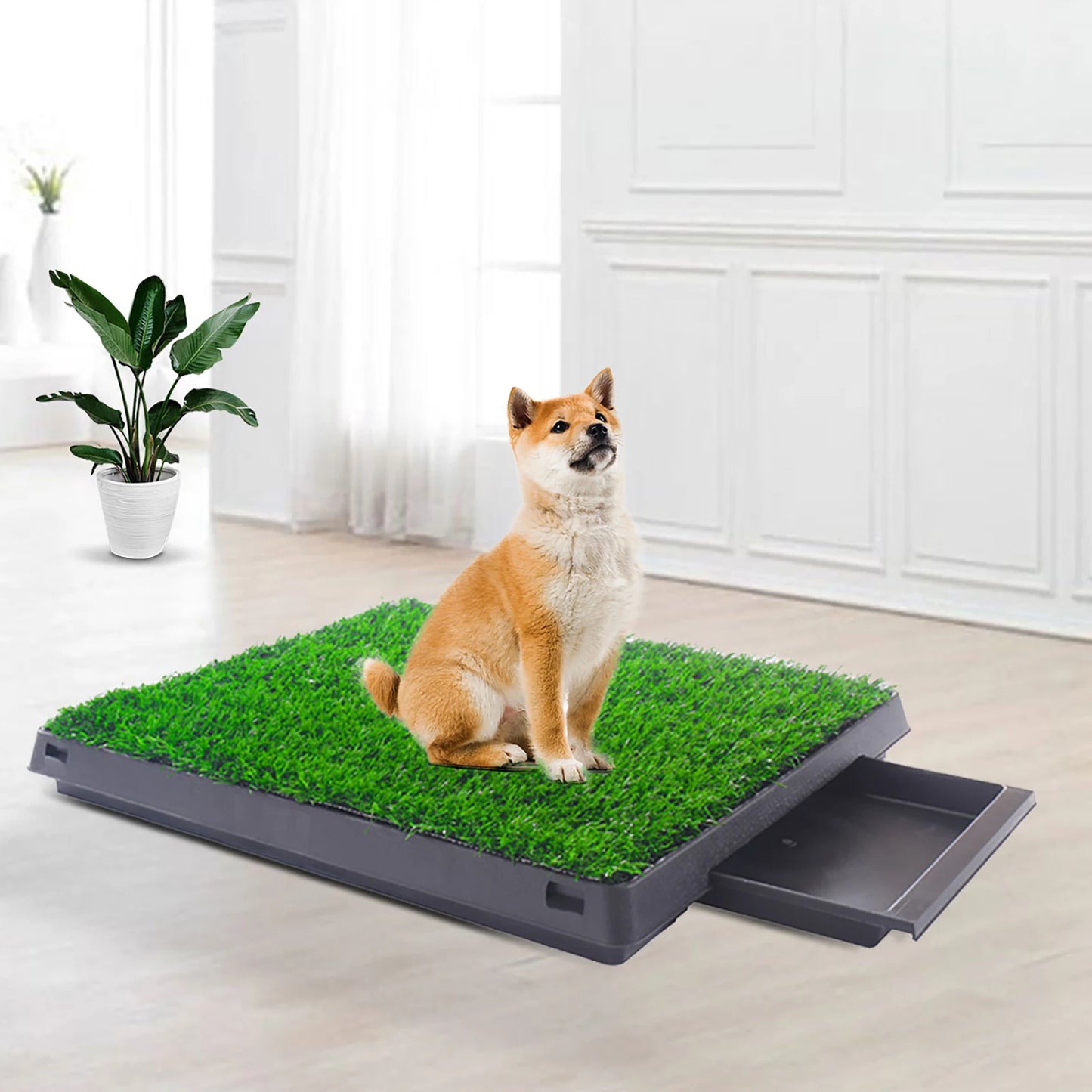 Realistic Grass Rug For Pet Potty Training Indoor Outdoor