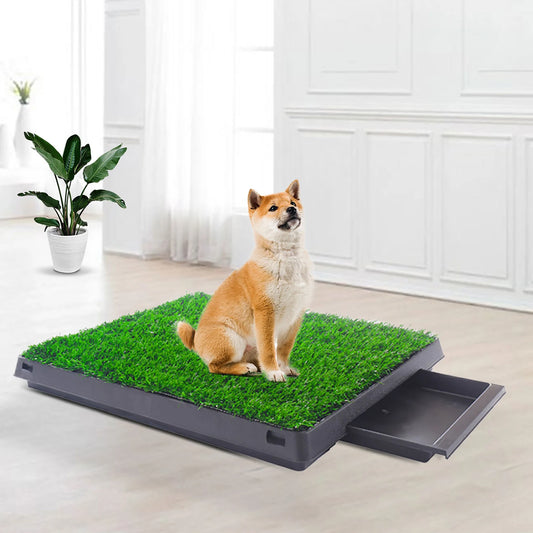 Realistic Grass Rug For Pet Potty Training Indoor Outdoor