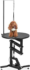 Hydraulic Lift Pet Grooming Table with 360 Degree Rotation